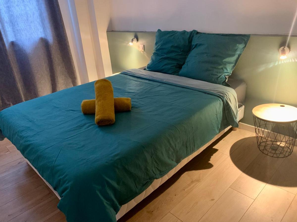 Spacieux Appartement Lumineux Coeur De Ville Pamiers Luaran gambar